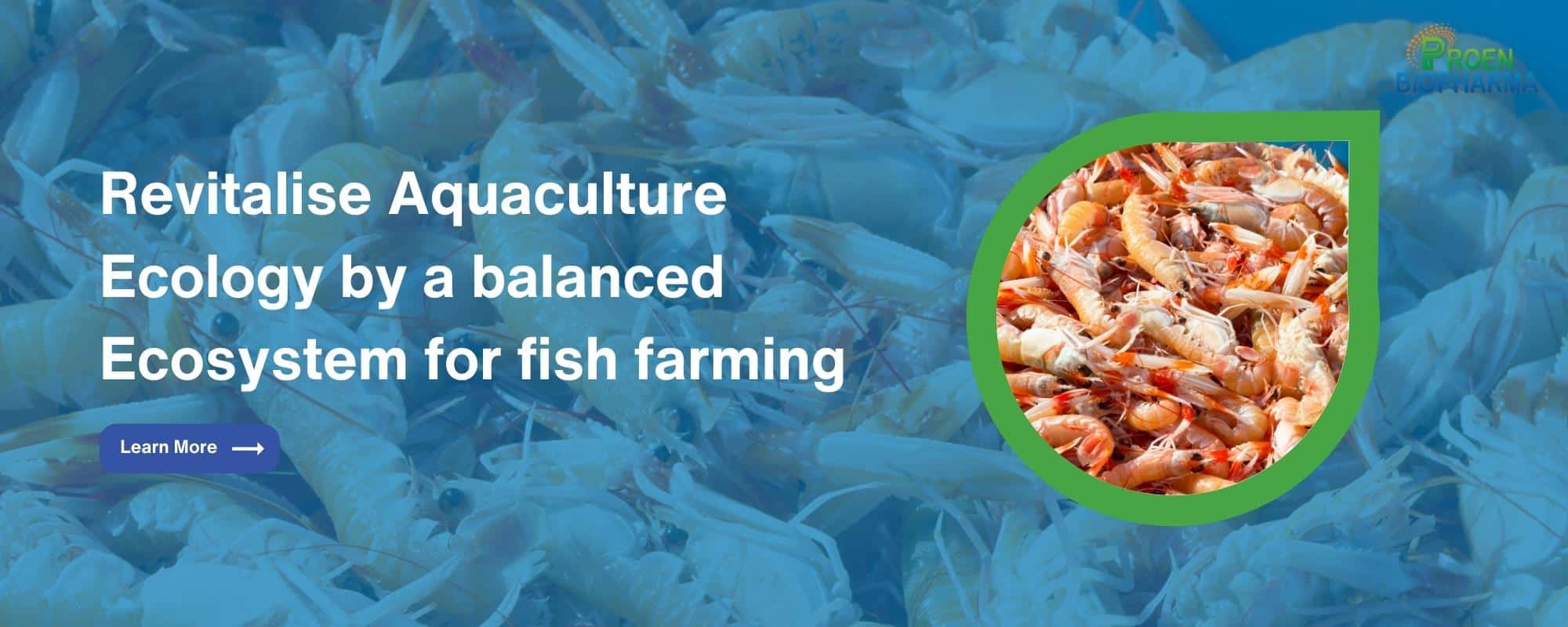 proen biopharma Revitalise aquaculture ecology by a balanced ecosystem for fish farming